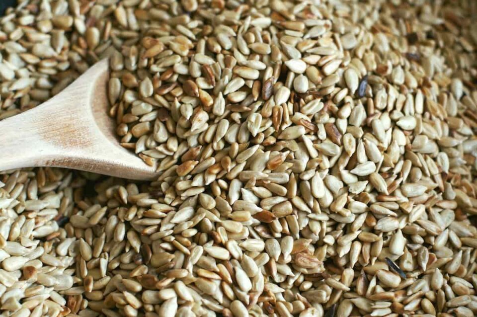 How to Roast Sunflower Seeds Minneopa Orchards