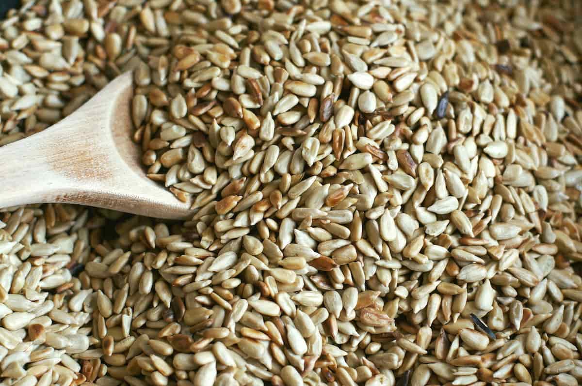 How to Roast Sunflower Seeds Minneopa Orchards
