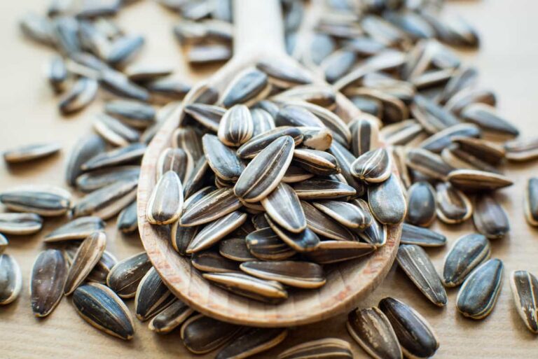 Are Sunflower Seeds Good for You Nutritional Benefits and