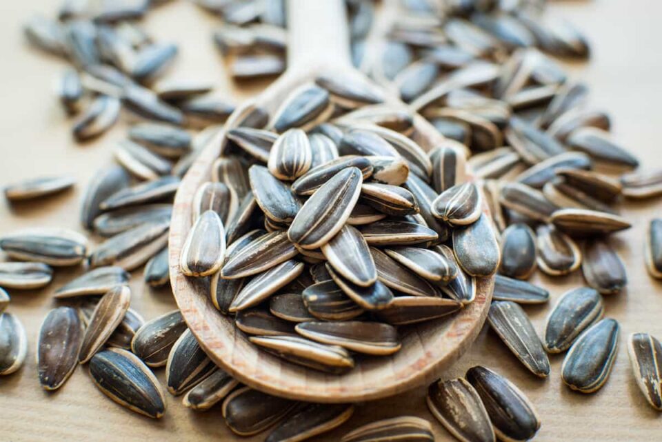 Are Sunflower Seeds Good for You Nutritional Benefits and