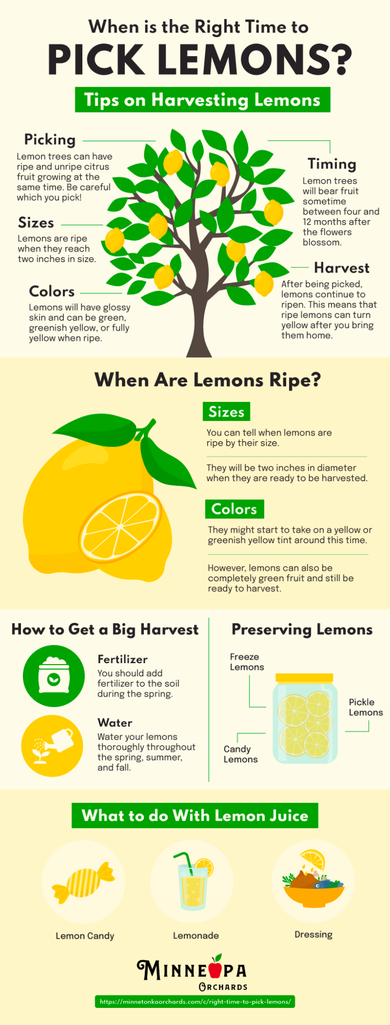 When Is the Right Time to Pick Lemons? Minneopa Orchards