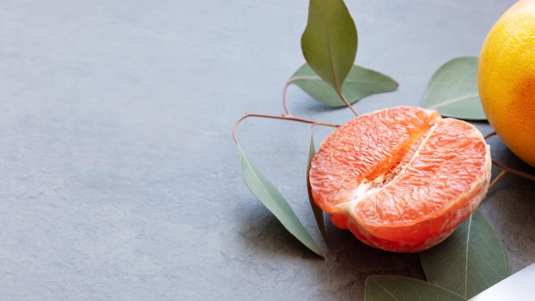 The Best Grapefruit Knife For Preparing Grapefruit Minneopa Orchards