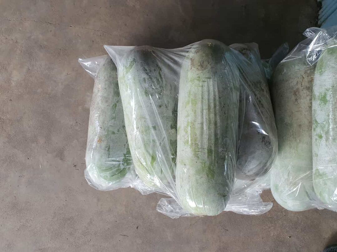 Can You Freeze Cucumbers? Minneopa Orchards