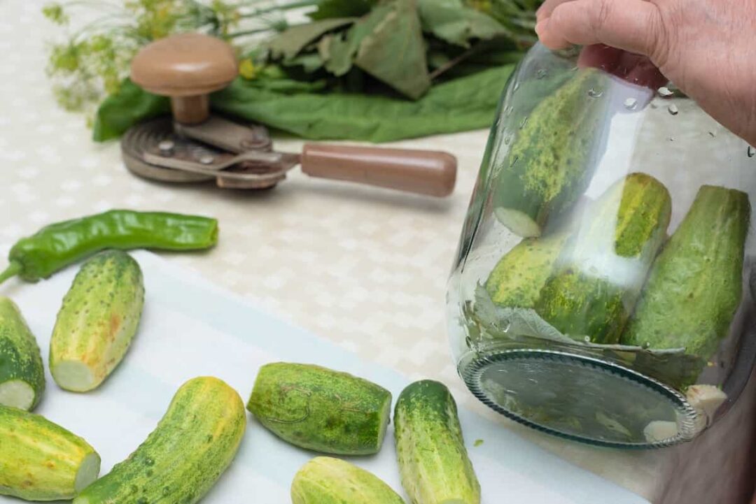 How Long Does It Take Cucumbers To Pickle