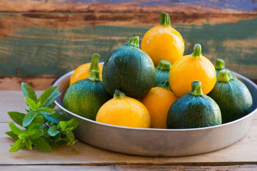 How to Plant Zucchini Minneopa Orchards