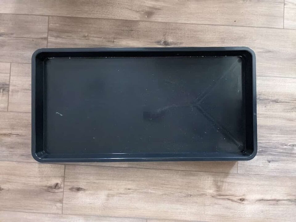 How Often to Water Seedlings Minneopa Orchards