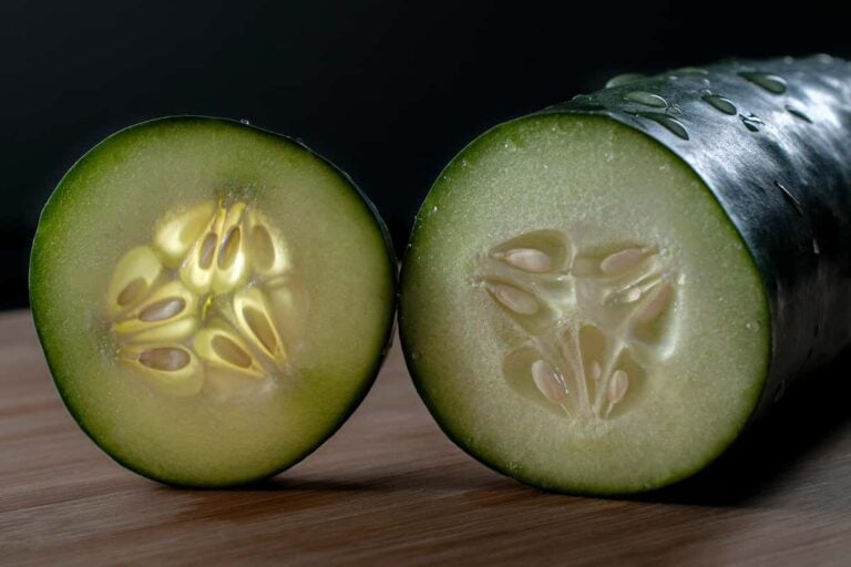 Sweet Slice Cucumbers Minneopa Orchards