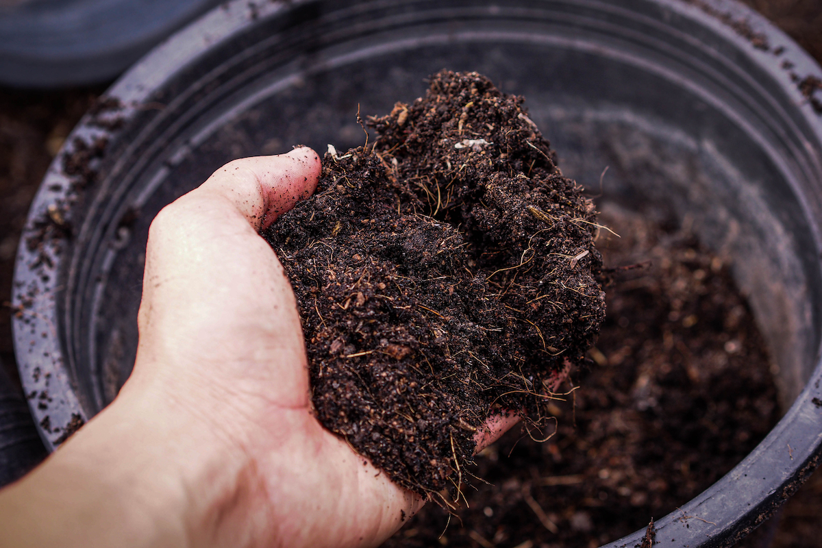 The 5 Best Potting Soil For Tomatoes in Containers Minneopa Orchards