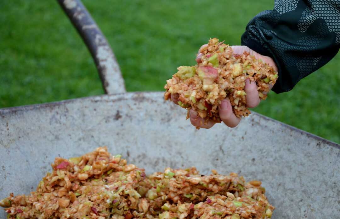 The Best Apple Grinder For 2023 Minneopa Orchards