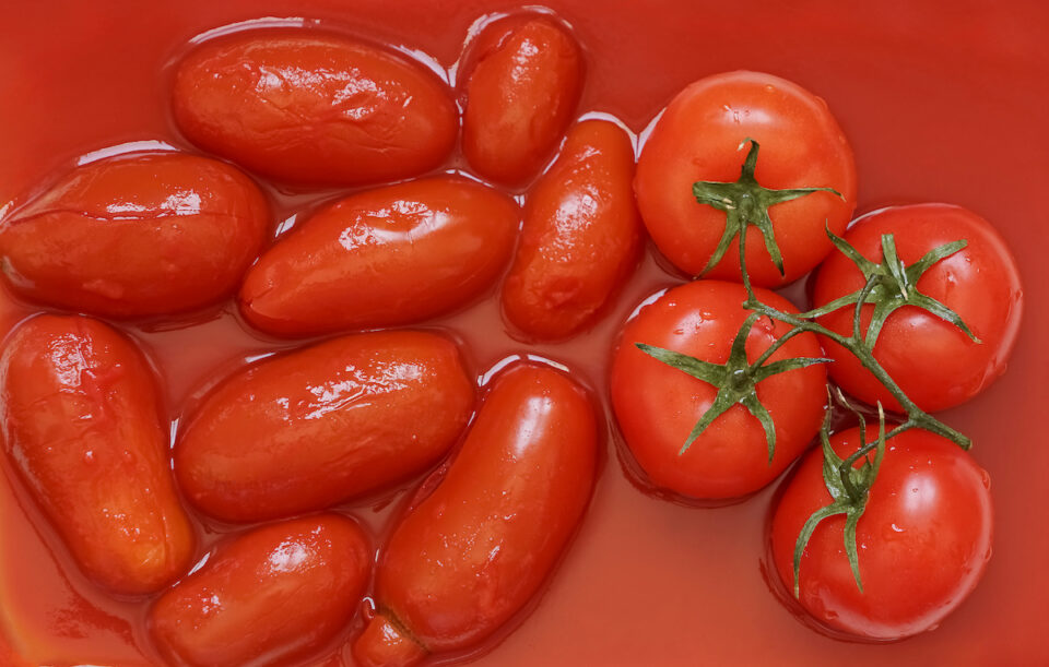 The 5 Best Tomato Peelers For The Perfectly Peeled Tomato Minneopa