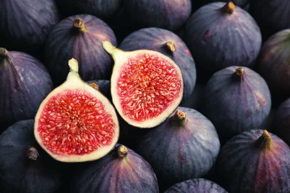 all-about-the-black-jack-fig-minneopa-orchards