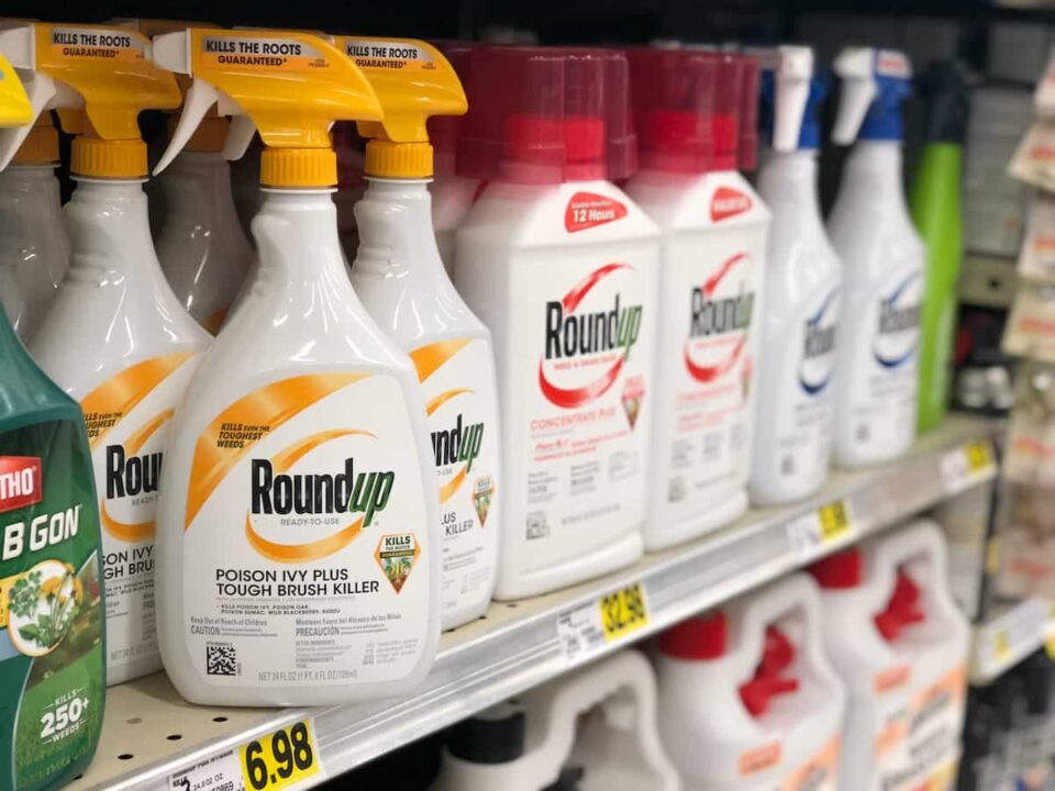 Best Weed Killer For Briars