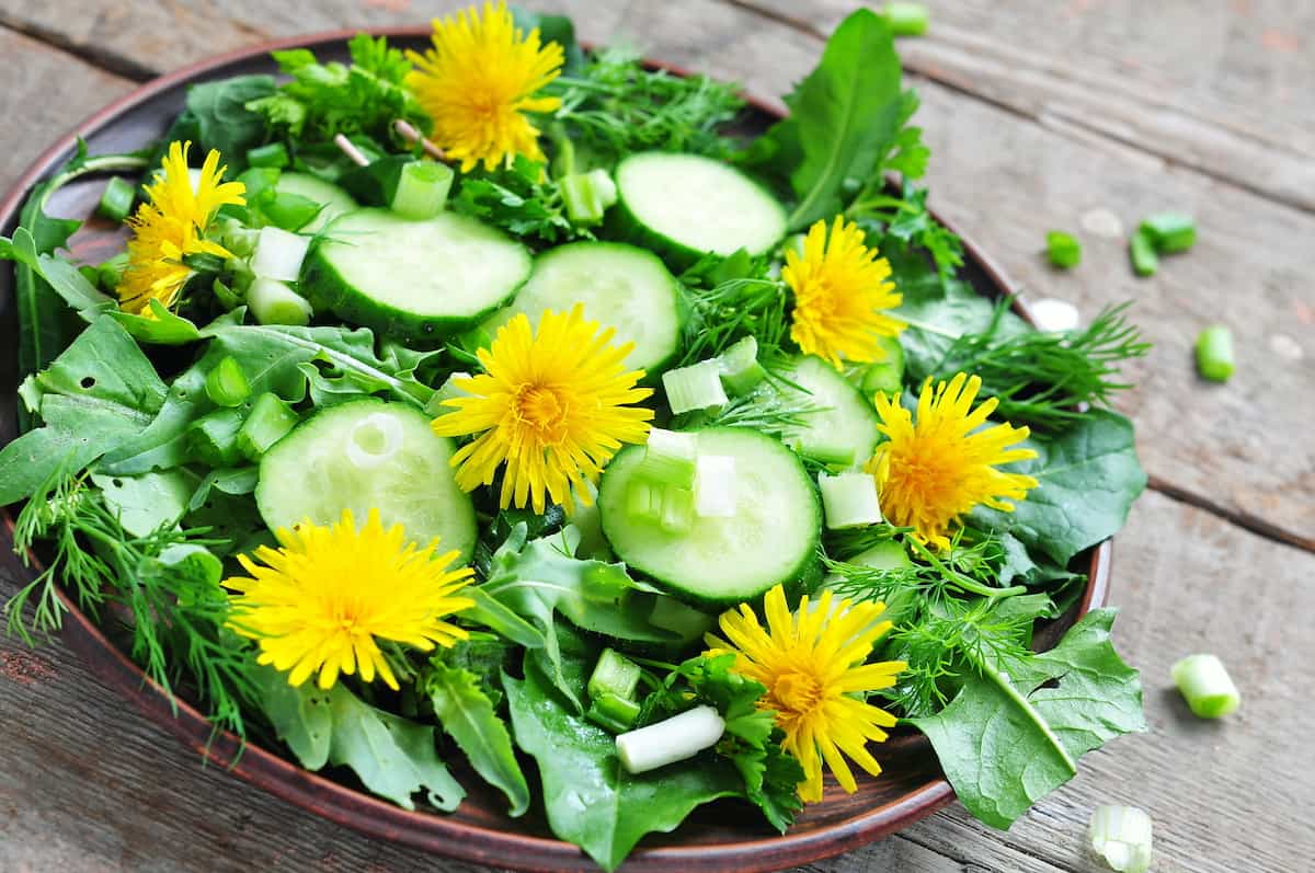 A salad with dandelion flowers.