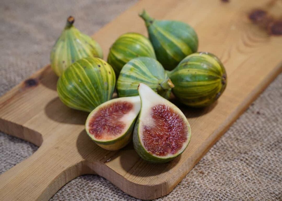 All About the Panache Tiger Fig Minneopa Orchards