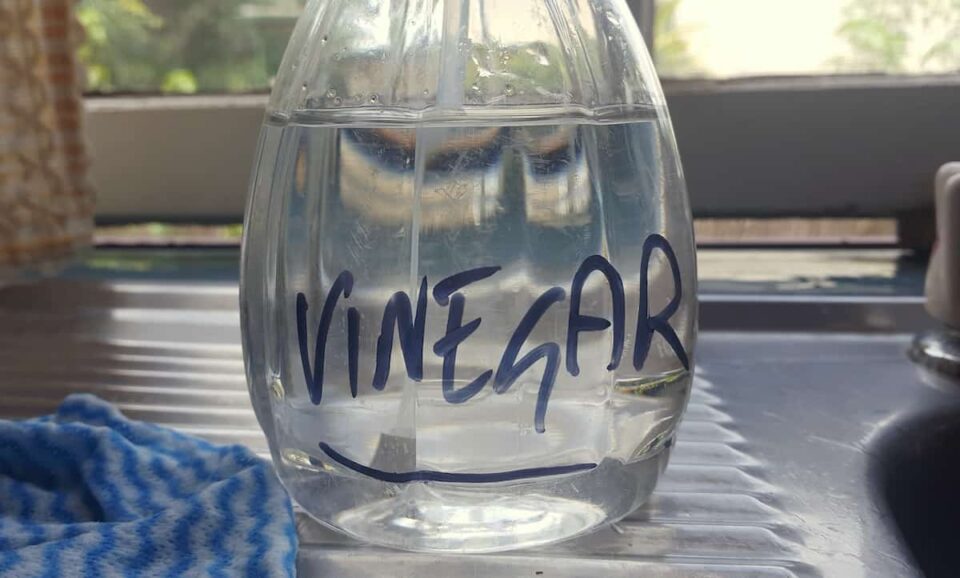 How to Kill Weeds With Vinegar Yes, It Can Be Done! Minneopa Orchards