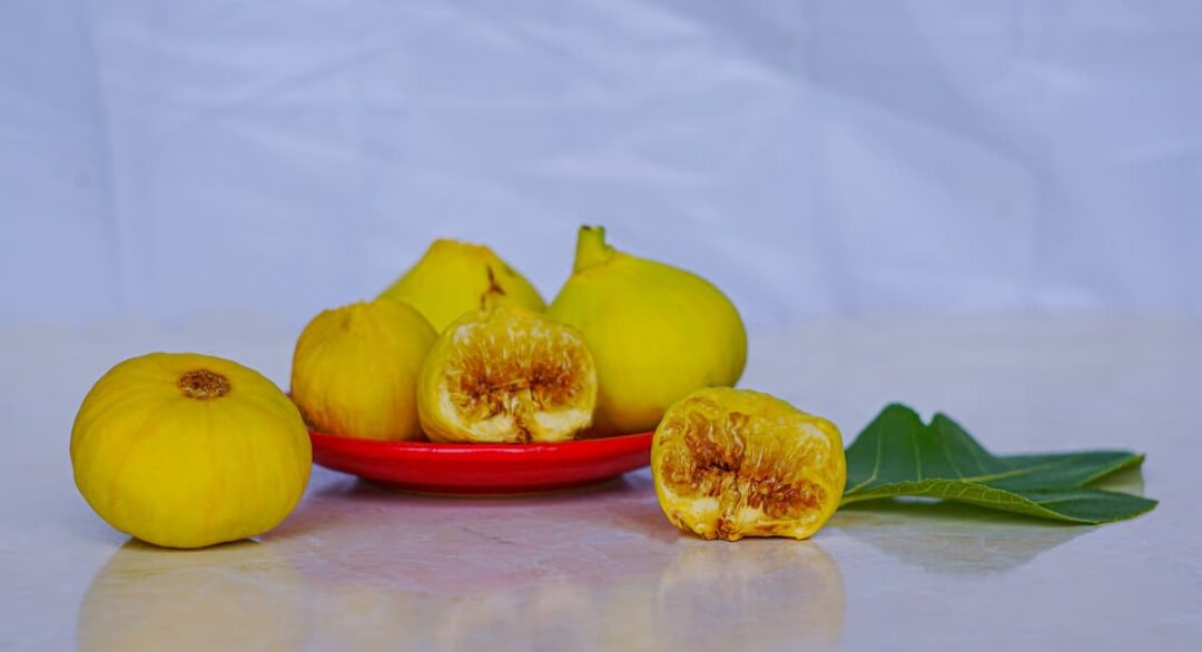 All About the Peter's Honey Fig Minneopa Orchards