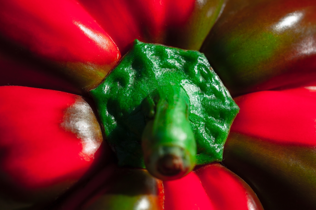 All About the Versatile Pimento Pepper Minneopa Orchards