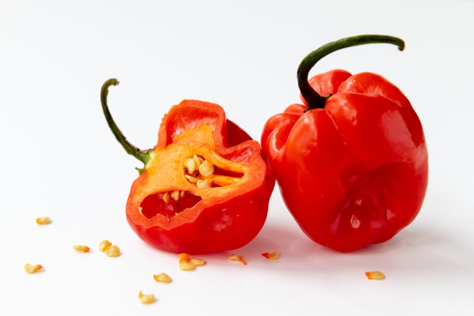 All About the Infamous Scotch Pepper Minneopa Orchards