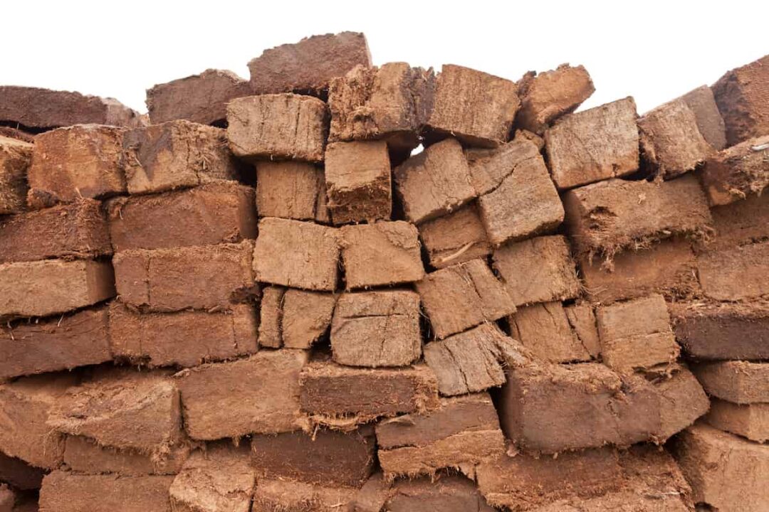 The Environmental Impacts of Peat Moss and 5 Better Options for Your