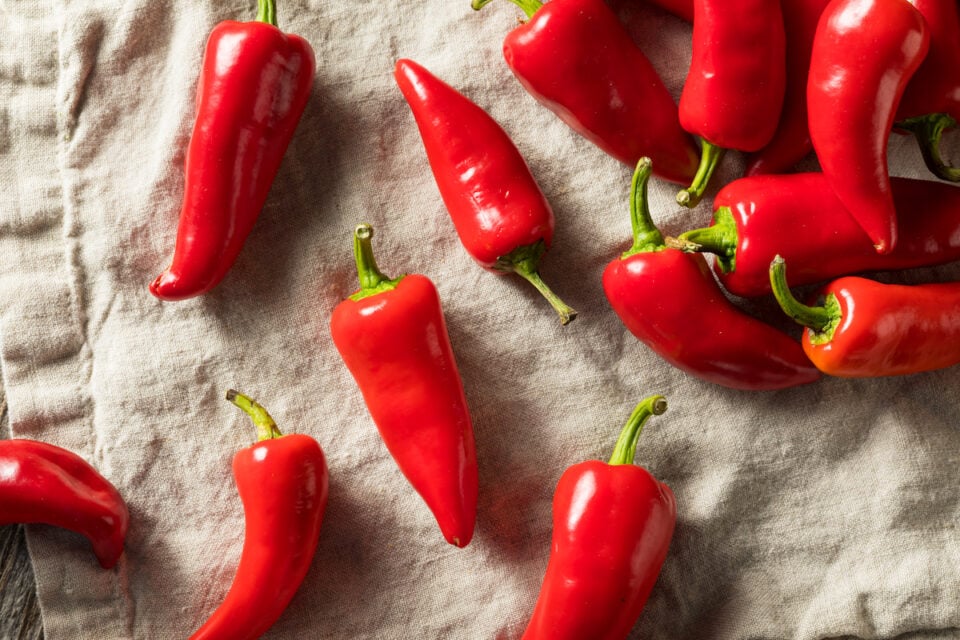 All About the Fresno Pepper Minneopa Orchards