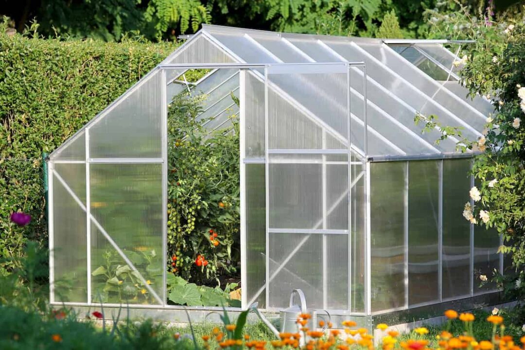 The Best Greenhouse Kits for 2024 Our Top 5 Picks Minneopa Orchards