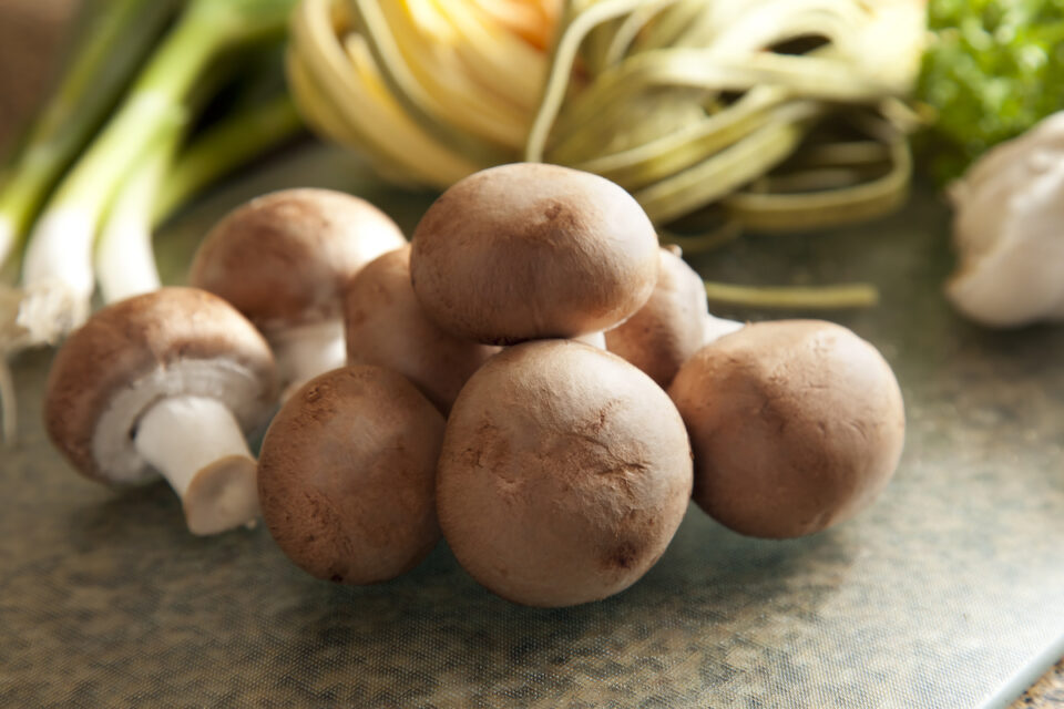 All About the Cremini Mushroom - Minneopa Orchards