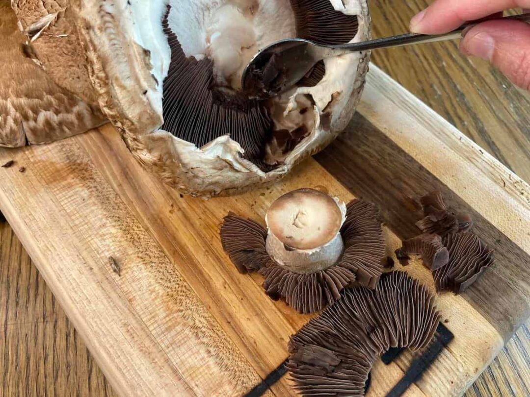 Stuffed Portobello Mushroom Recipe Minneopa Orchards