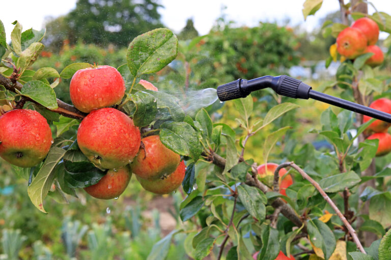 The Benefits of Organic Apple Tree Spray Why You Should Use It in Your