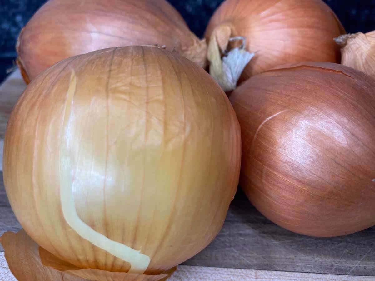 How to Caramelize Onions Minneopa Orchards