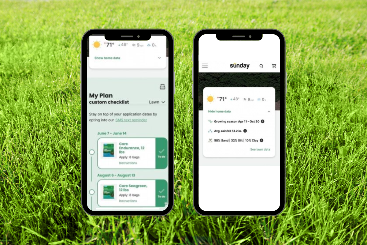 Sunday Lawn Care Review Over 4 Weeks Minneopa Orchards Sunday lawn care review over 4 weeks minneopa orchards