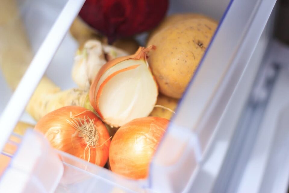 How Long Do Onions Last in the Fridge? Minneopa Orchards