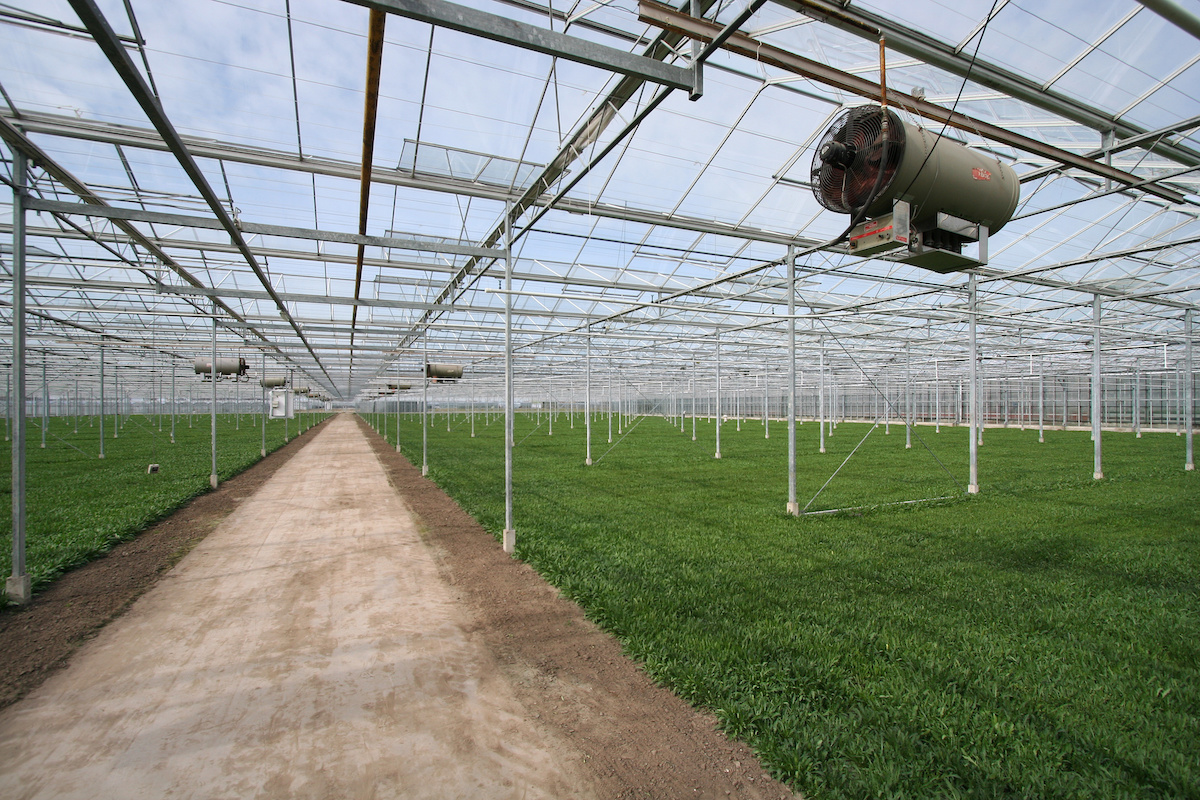 Choosing the Best Greenhouse Heater for Your Plants Our Top 5 Picks