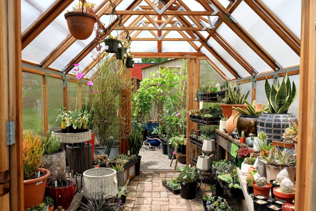 Building Your Plant Haven: Step-By-Step Greenhouse Plans For Beginners ...