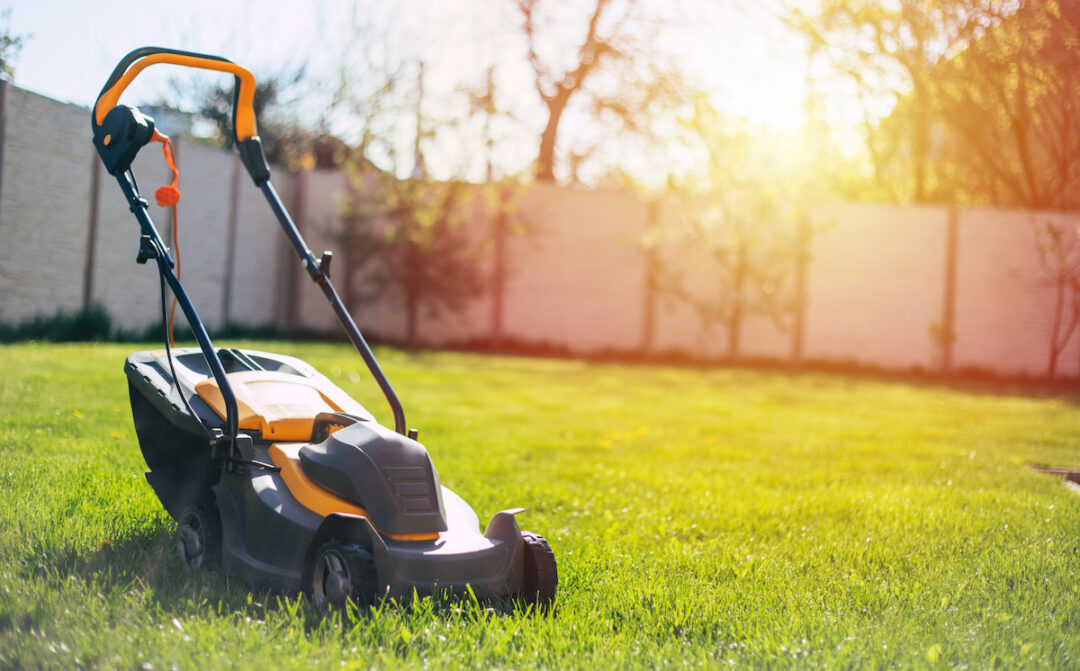 The Best Electric Mower for Your Lawn Care Needs Minneopa Orchards