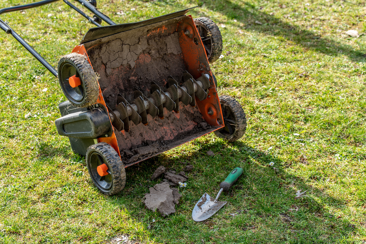 Why Every Home Needs a Lawn Dethatcher for a Healthy Yard Minneopa