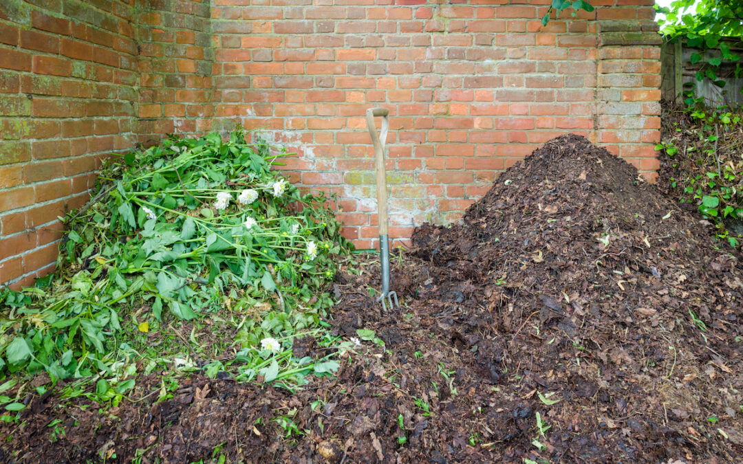 How to Make Leaf Mold Compost from Autumn Leaves Minneopa Orchards