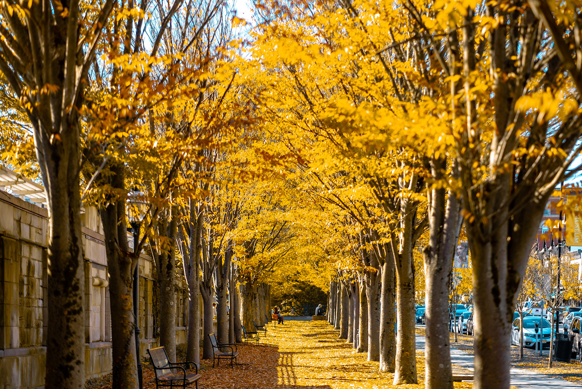 New Jersey Fall Foliage A Road Trip Guide Minneopa Orchards