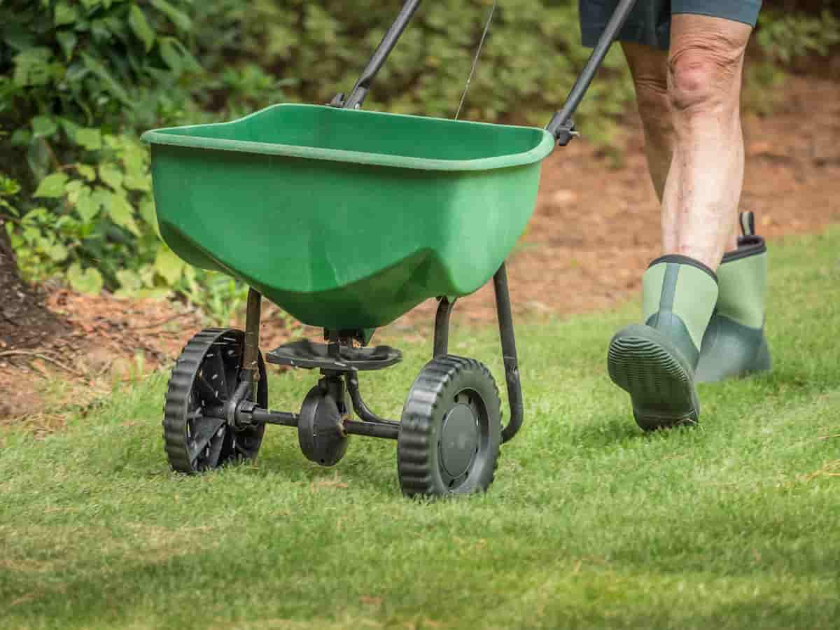 Fall Lawn Care Tips for a Lush Spring Yard - Minneopa Orchards
