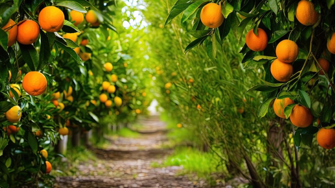 Why Planting Fruit Trees in Fall Could Be the Best Decision - Minneopa ...