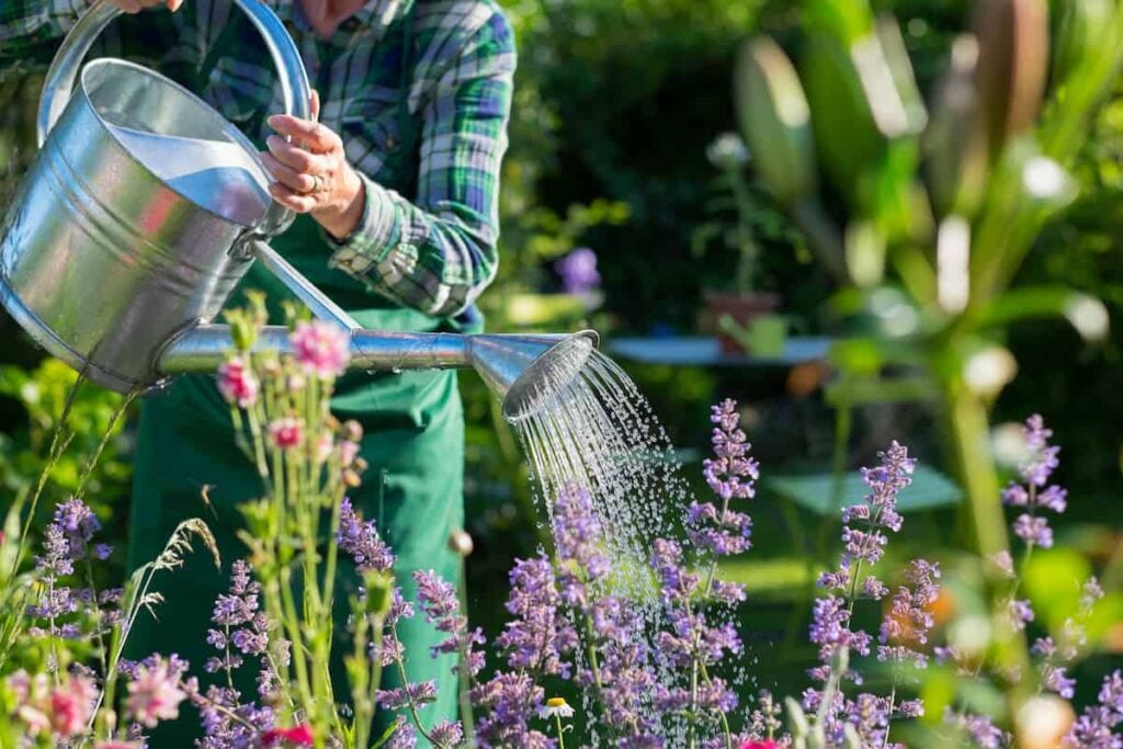extreme climate gardening